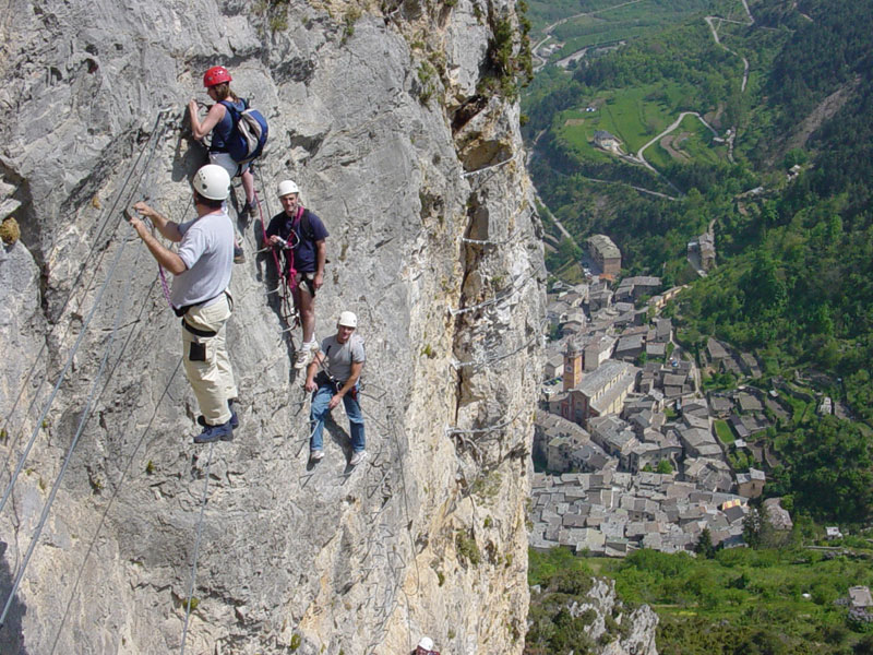 Le premier pont de singe