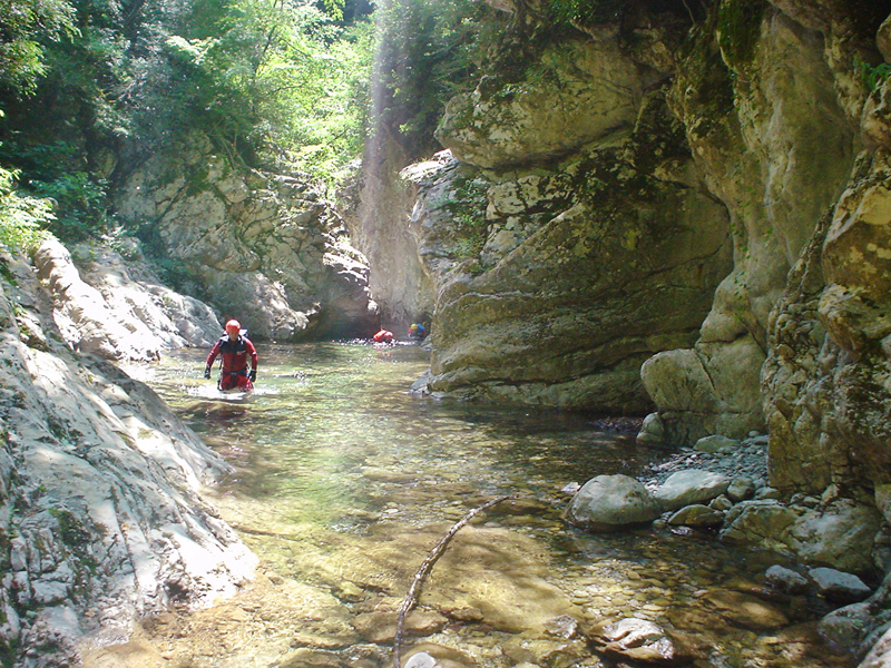 Un cadre sauvage