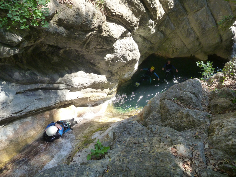 une ambiance sauvage