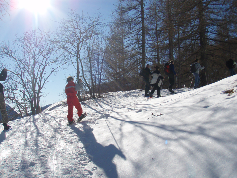 Dans les bois